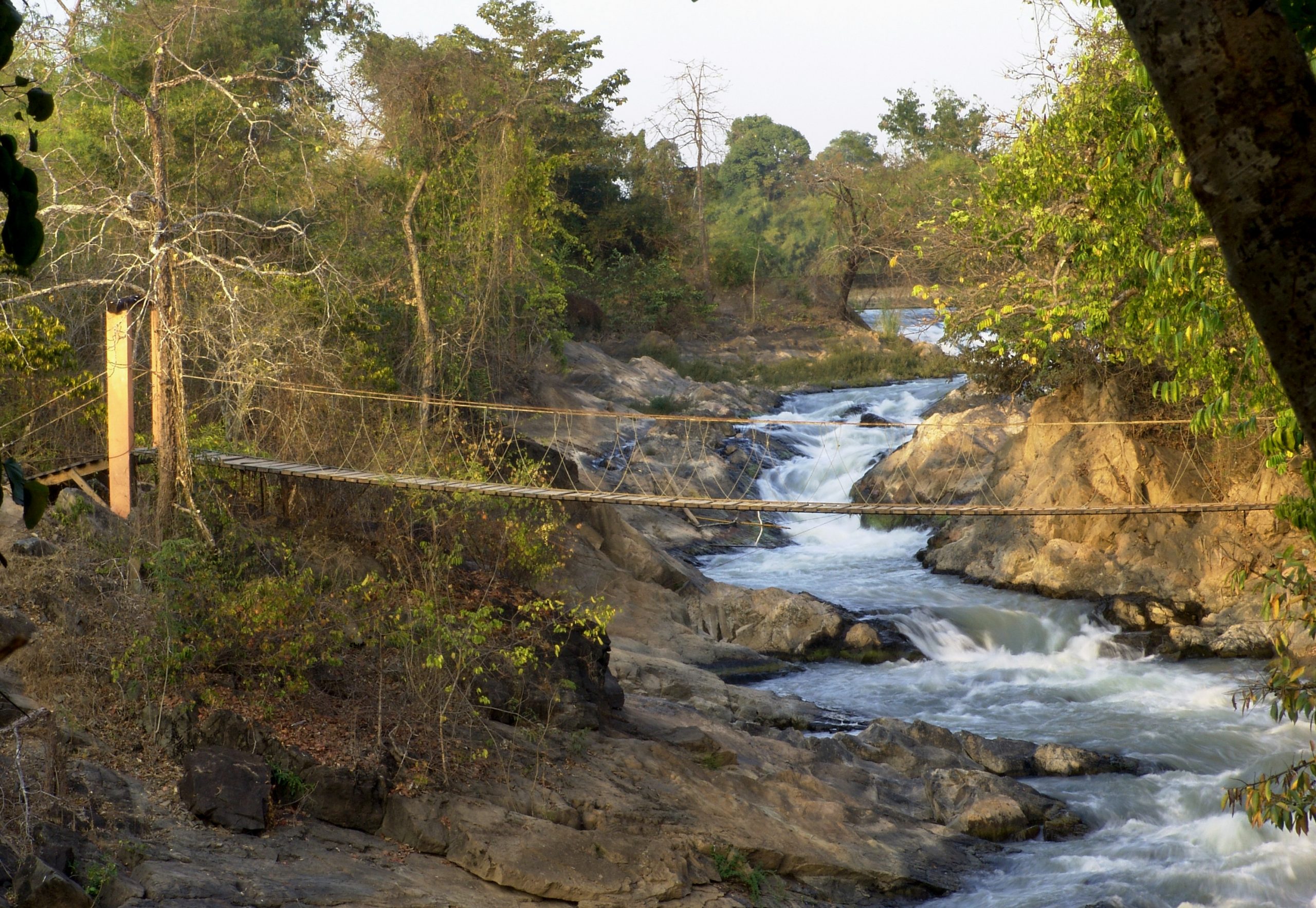 Suspension bridge